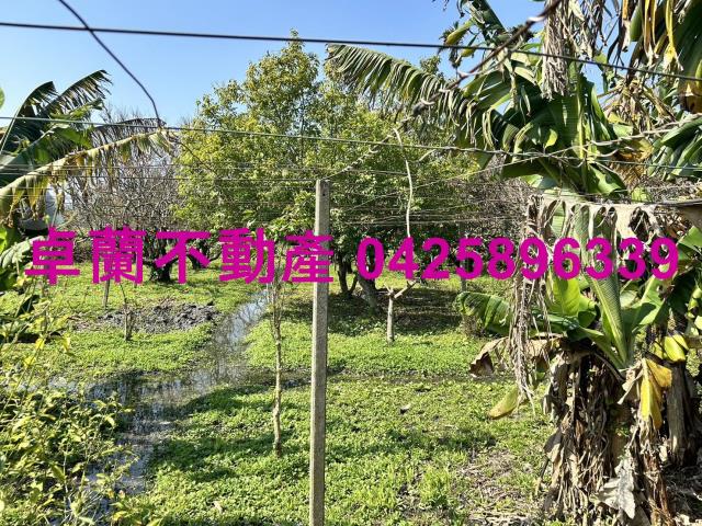 卓蘭農地-4