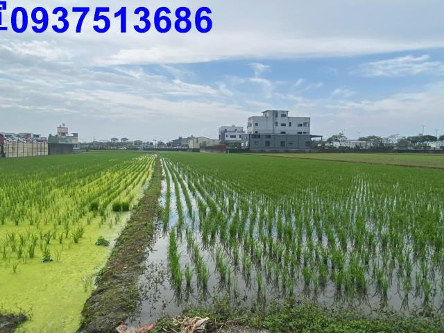 宜蘭市農地-8