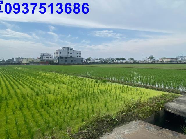 宜蘭市農地-9