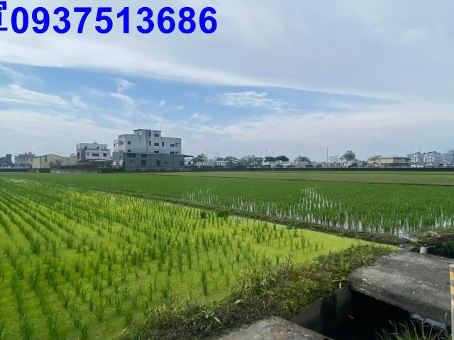 宜蘭市農地-2
