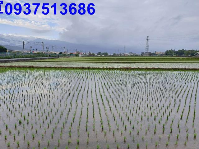 宜蘭農地-9
