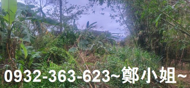 新北金山農地-3