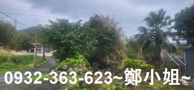新北金山農地-4