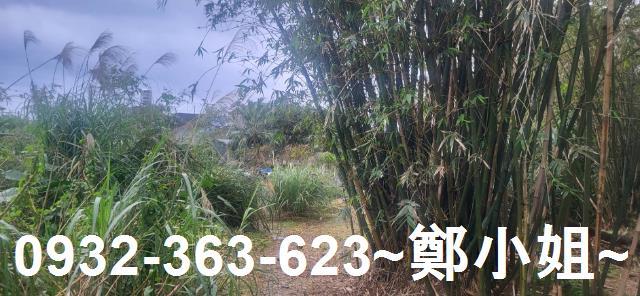 新北金山農地-7
