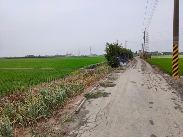 二林農地-11