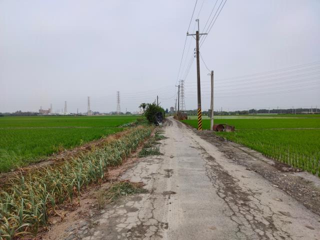 二林農地-12