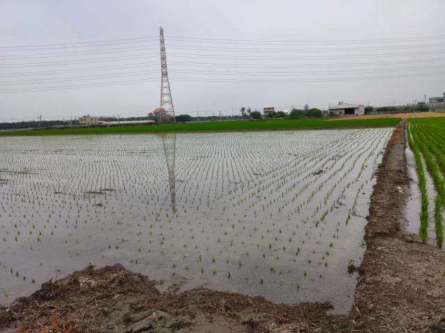 二林農地-3