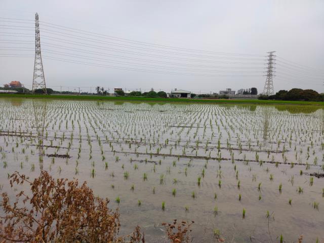 二林農地-6