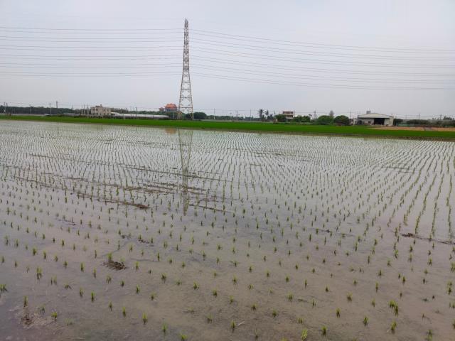 二林農地-7