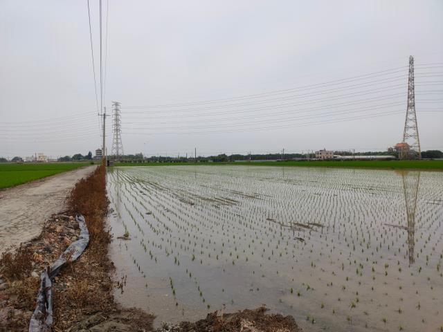 二林農地-9