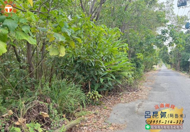 大林農地-2