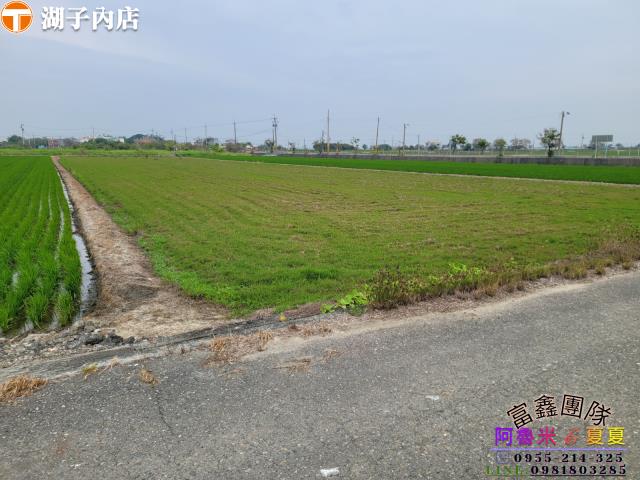 嘉義農地-3
