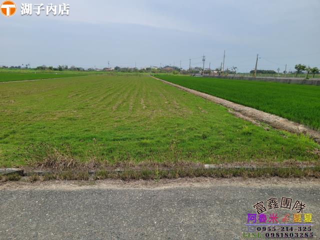 嘉義農地-4
