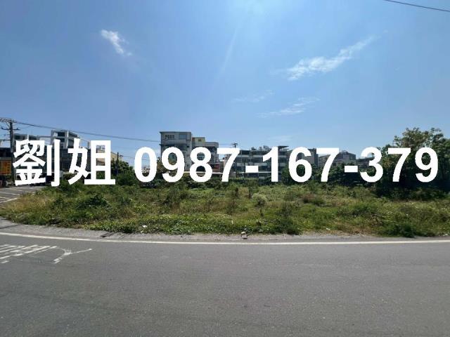 高雄大寮農地-3