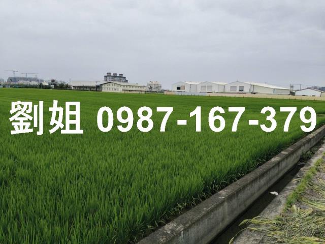 高雄大寮農地-2