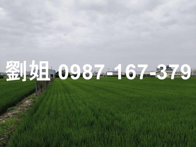 高雄大寮農地-3