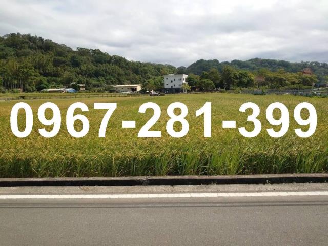 頭屋農地-1