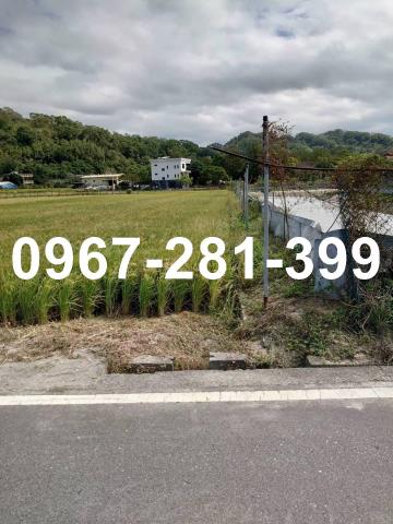 頭屋農地-2