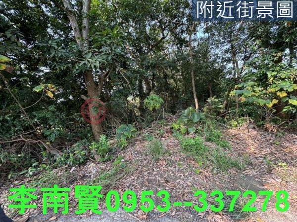 台南大內農地-5