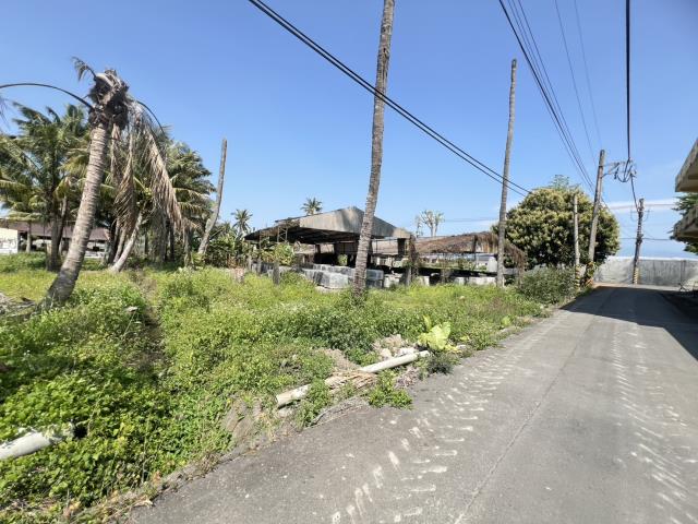 美濃農地-3