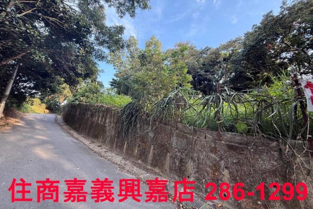 番路農地-10