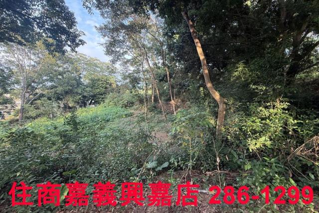 番路農地-5