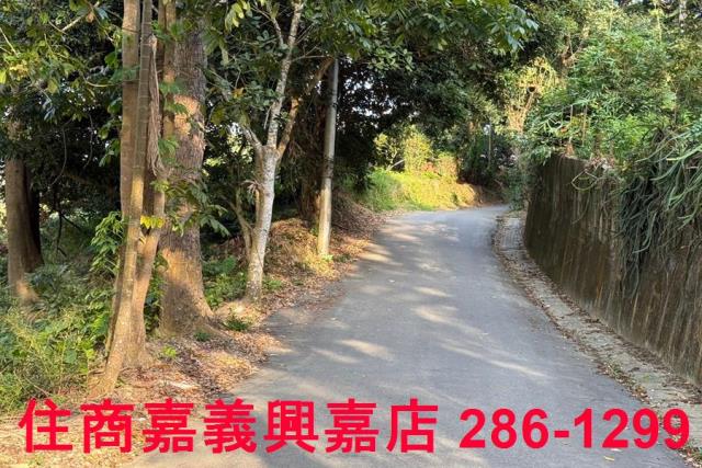 番路農地-9