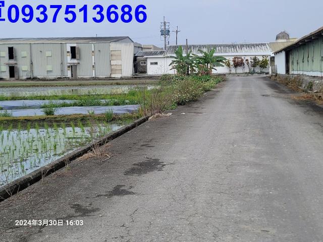 員山農地-12