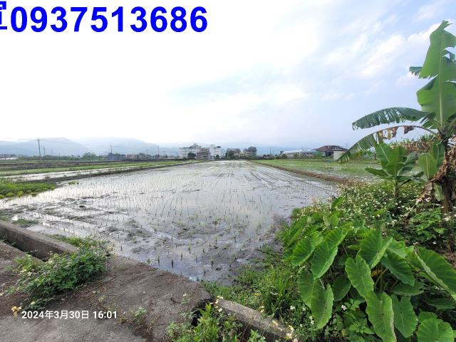 員山農地-4