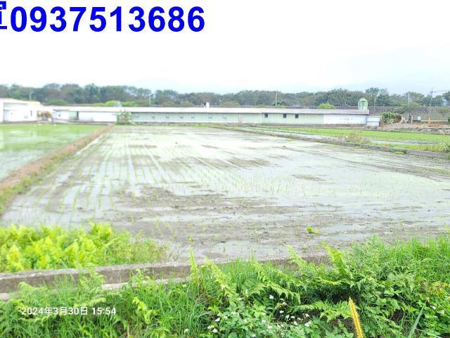 員山農地-6