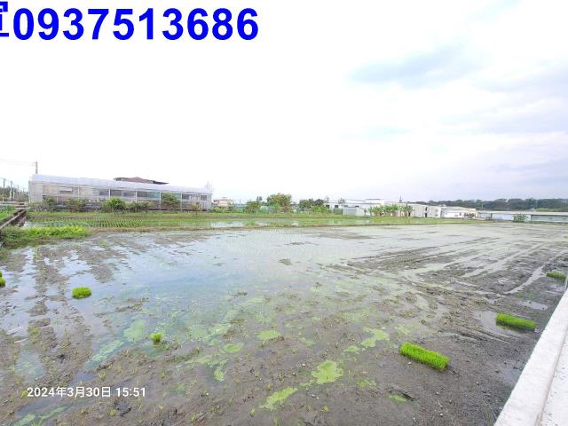 員山農地-9