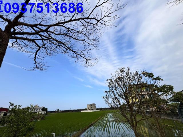 壯圍農地-2