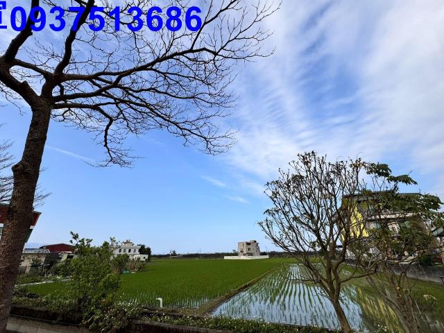 壯圍農地-5