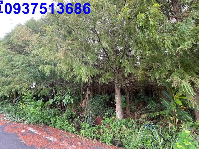 宜蘭員山農地-6