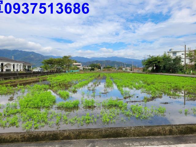 宜蘭員山農地-13