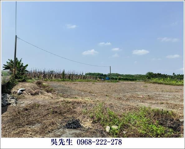 屏東高樹農地-4