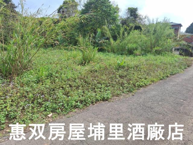 南投埔里農地-5