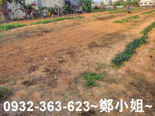 中壢農地-4