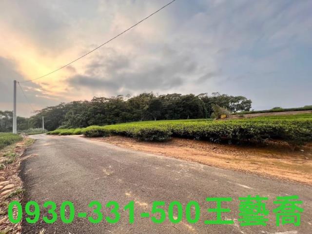 龍潭農地-1