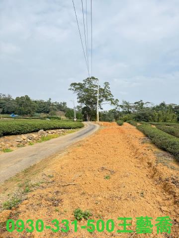 龍潭農地-6