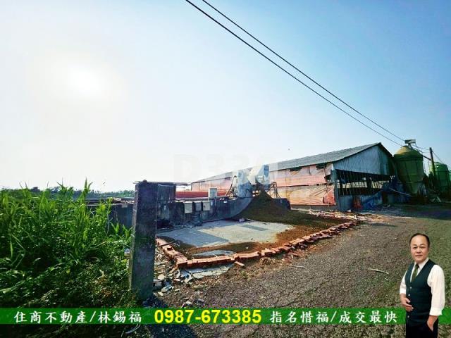 雲林水林農地-12