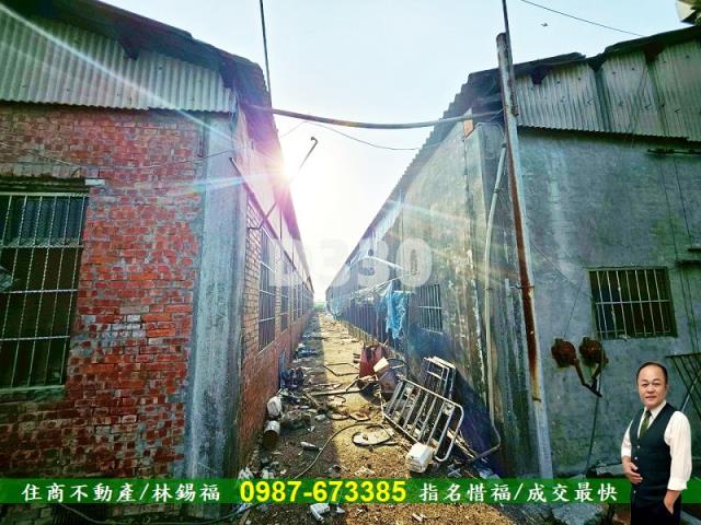 雲林水林農地-14