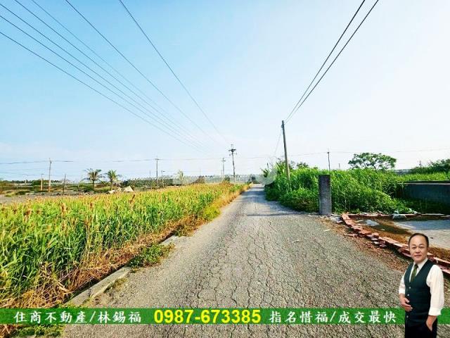 雲林水林農地-3