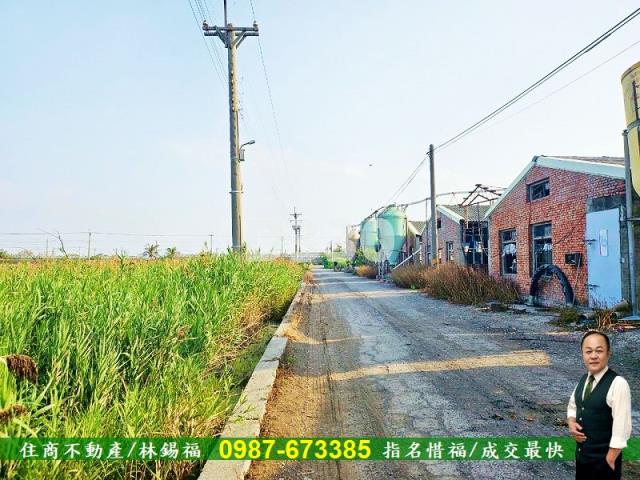雲林水林農地-4