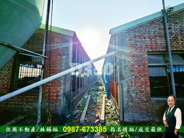 雲林水林農地-7