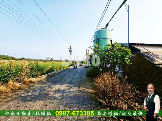 雲林水林農地-9