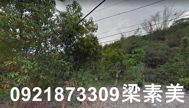 杉林農地-2