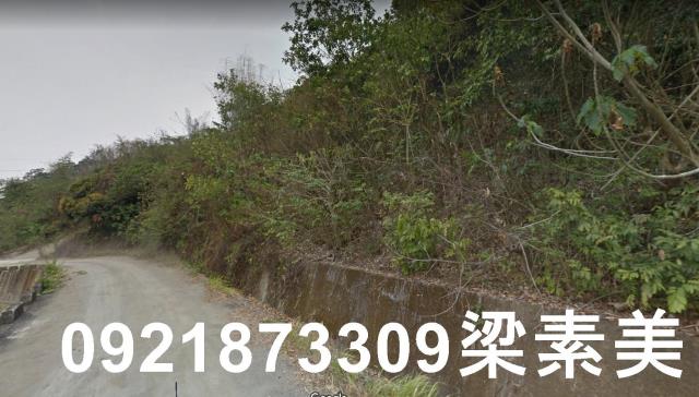 杉林農地-3