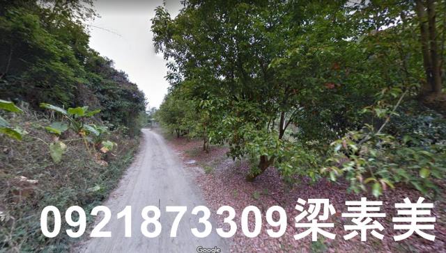 杉林農地-4