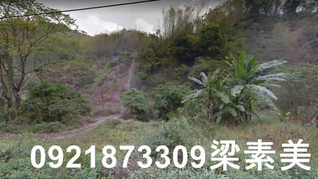 杉林農地-7